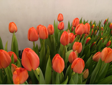 IMG 20170301 070530[1].jpg