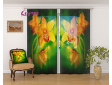 �������� "������� � ������ ����" 2 640,00 ���. �����: ����������� �������: 290x260 �� ��������: ����� �����: 03156