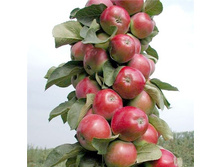 ������ ������ ���� ������������� ������ 320� ������� ��� �� �������