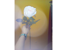 2017-03-28 10-58-09.JPG