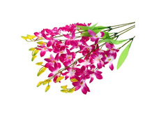 ����� ������������� "����-���������� ������� ���������"����� ������������� "����-���������� ������� ���������" �����; 70 ��; �������, ��������; � ����� 600 ��. ���.: 701718 34.10���.