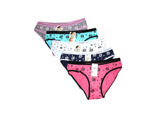 ������� ����� SiXi 1300 ������������ 30 ���