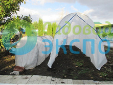 ������� ����