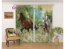 �������� "������" 2 640,00 ���. �����: ����������� �������: 290x260 �� ��������: ����� �����: 02572