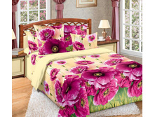 ��� ������� �������� ���� "������ 2" 2 205,00 ���.