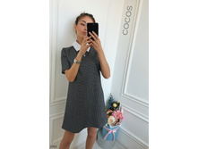 Plate-3503.  1253���.