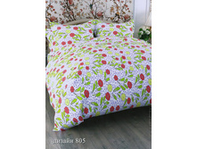 ��� �������� ���� ���� "������ 805" 1 341,00 ���. ������: 100% ������