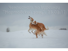 32361392403 f0f181e20e o.jpg