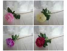 18-172 ���� 75 ��., D=15 ��, 1 �����. 139,8�