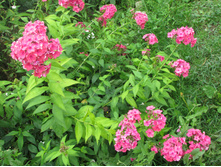 ����������� ������� �����.JPG