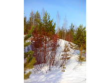 IMG 20170311 095440.jpg