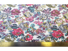 ����� �� 581 ������.jpg