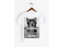 Tiger.jpg