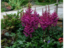 �������� ������� �� ���.jpg