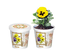 �����  80 ���..jpg