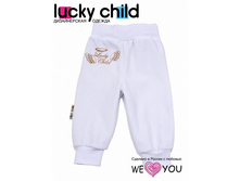 "�������� (�����) ������ 80% ������ 20% ���������" 17-25���