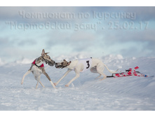 32302223824 d006dafa1b o.jpg