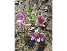 �������� �����-80 ���.