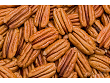 ����� ��������� �����