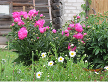 ����������� �����.JPG