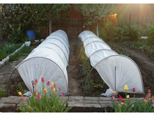 �������!!! ������ ���������� ���� 6� 1250�