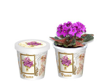 ������  80 ���..jpg