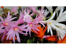 ������� � �����