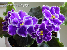 ������ �������.jpg