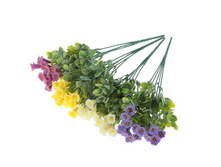 ����� "������������ � �������" ��������� "������������ � �������" ���� �����; 30 ��; �������; � ����� 600 ��. ���.: 1840783 77.00 ���.