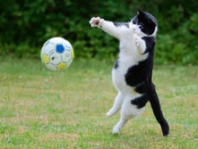 �� ����� �� ���� � ������ ����� ������� ��������� ...