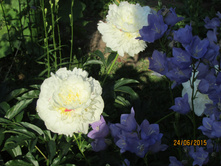 ���� ����� � ������.JPG