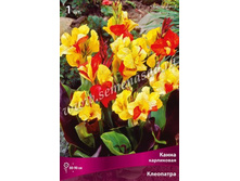 ����� ���������� ���������.jpg