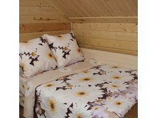 ��� ������ 2,0 �� � ������������� "�����" 1 145,00 ���.