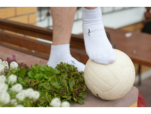 522�7 - ����������� ����� � ��������� �������� �� �������