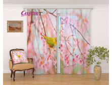 �������� "����� �� ����� ������" 2 640,00 ���. �����: ����������� �������: 290x260 �� ��������: ����� �����: 03165