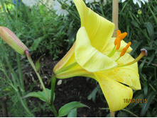 ������ �������� ���������.JPG