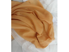 ������� ��������.jpg