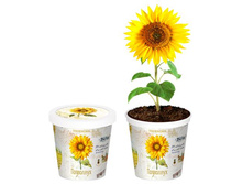 ��������� 80 ���..jpg