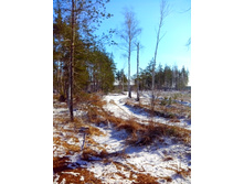 IMG 20170326 091158.jpg