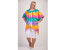 ����� 1343 - 550 ���