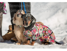 32991308892 93a3e380eb o.jpg