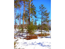 IMG 20170326 094816.jpg