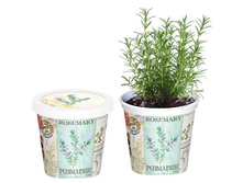 ��������  80 ���..jpg