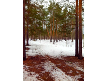 IMG 20170319 105728.jpg