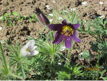 �������� �� �����.JPG