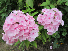 ����������� ���� ������.JPG