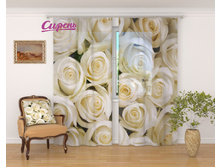 �������� "�������� ����" 2 640,00 ���. �����: ����������� �������: 290x260 �� ��������: ����� �����: 02331