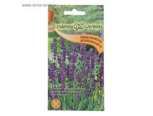 ������ ������� �����������, ������������ 34, 0,05 � ���.1774167 ���� 8,08 ���, ���.30 ��.jpg