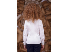 ������ 3641-3