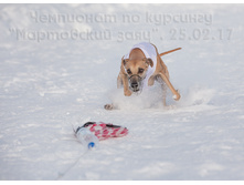 32764981320 d14e1f45c5 o.jpg